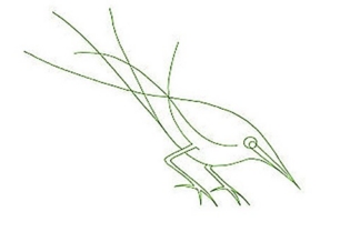 greanbird